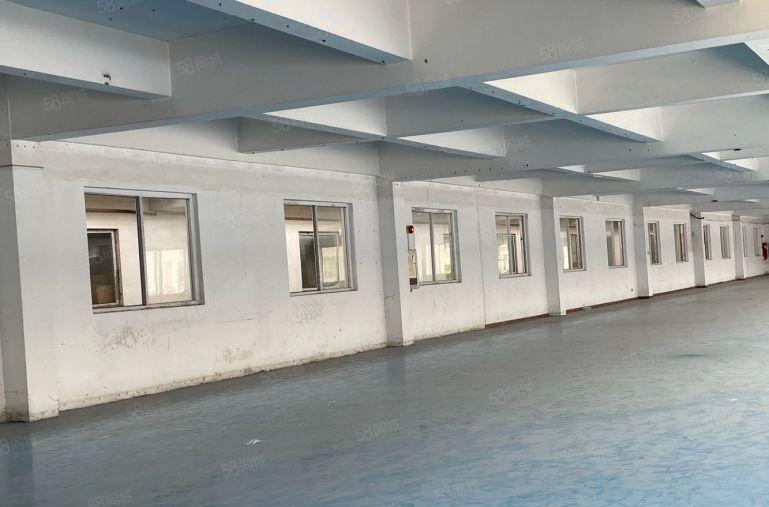 8块8超低价！虎门1000平米带装修厂房出租