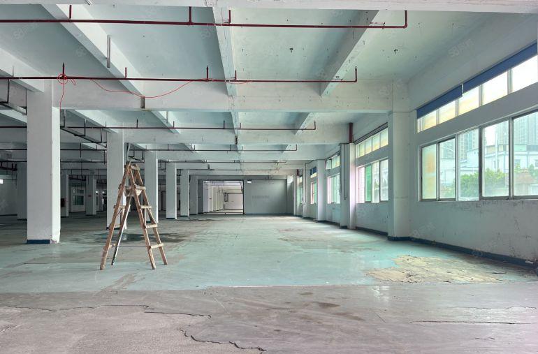 急租虎门原房东独院厂房适合电商制衣仓库注塑五金冲压设备小污染