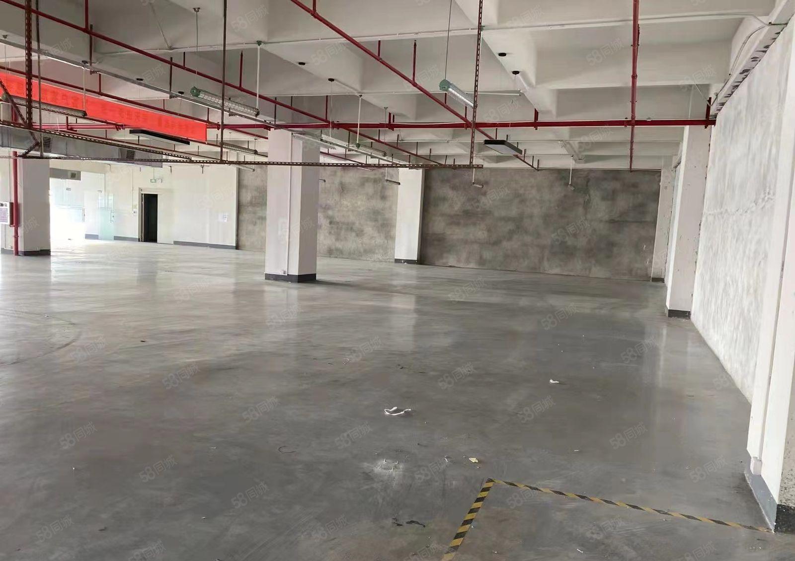 虎门镇树田分租重工业厂房4楼1150平方厂房出租