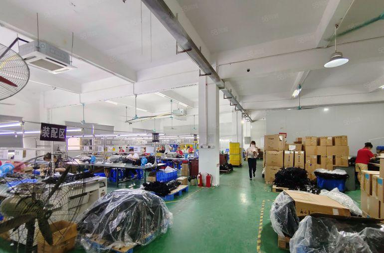 虎门树田200平起分13元，有现成办公室，地坪漆厂房仓库出租