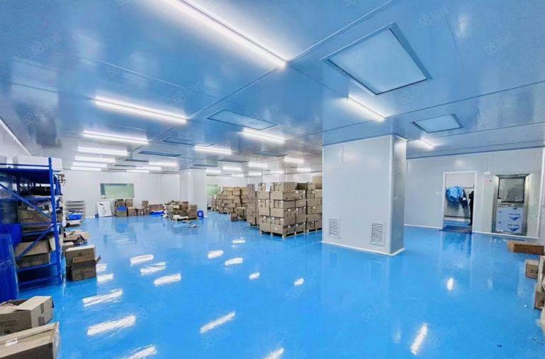 虎门新出原房东独门独院3000平方带红本精装修厂房可分租