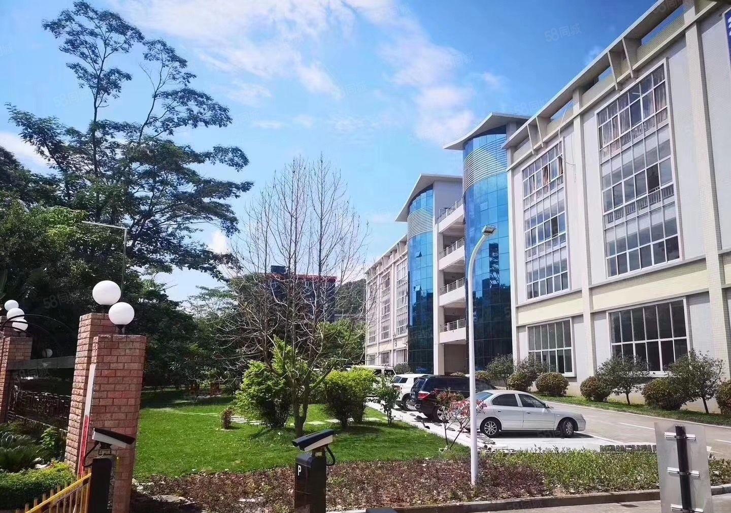 虎门滨海湾新区花园式厂房2000至8000平厂房出租可分租