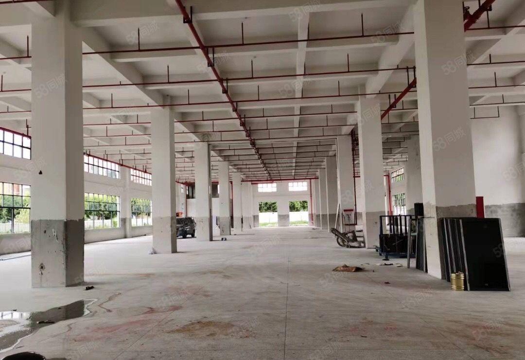 虎门新出标准厂房 形象好大车可进出 适合电子设备仓库