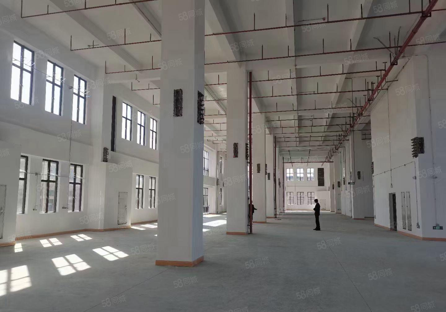 免租期3个月！虎门大宁新建厂房4万平方可分租！可办环评