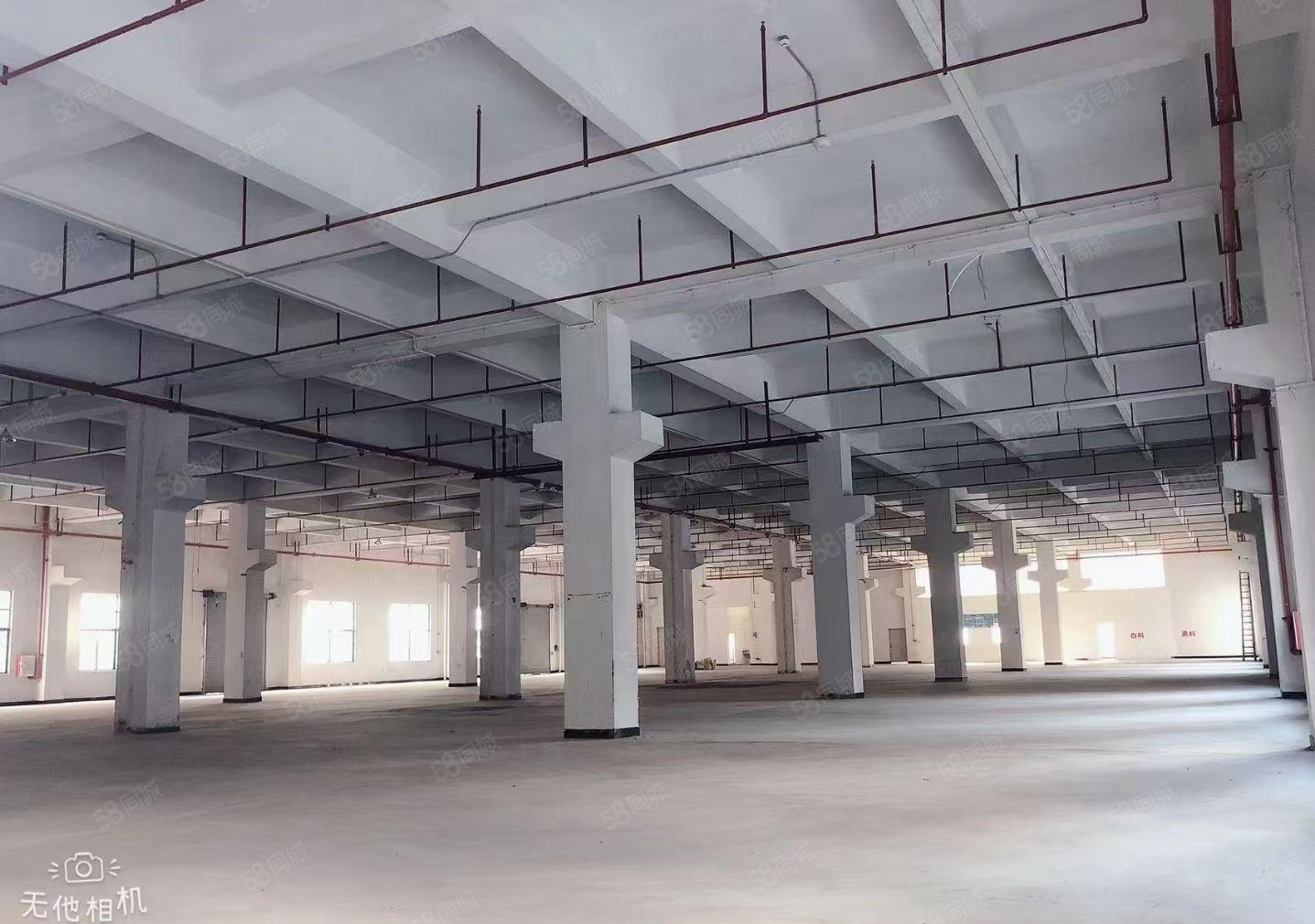 虎门花园式工业园新出一二楼一层3580方