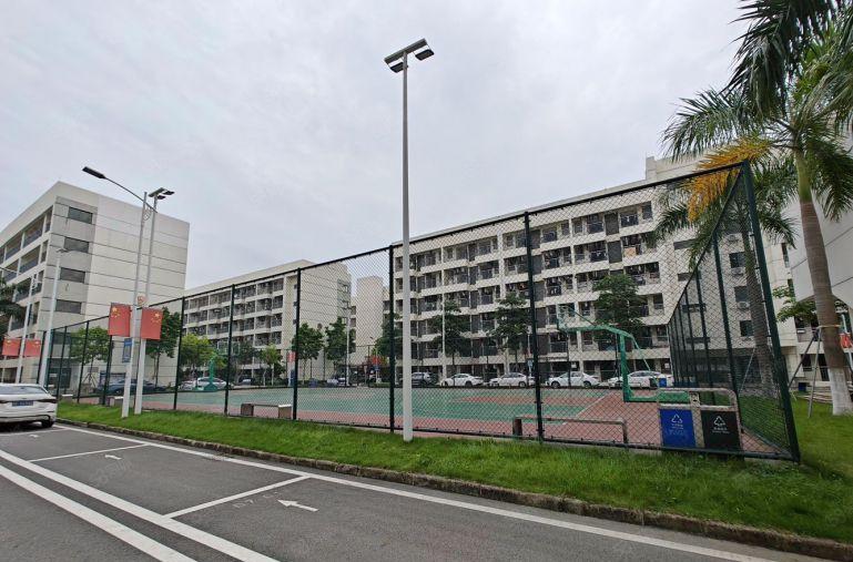 虎门独院厂房红本无尘车间精装修带卸货平台可分租