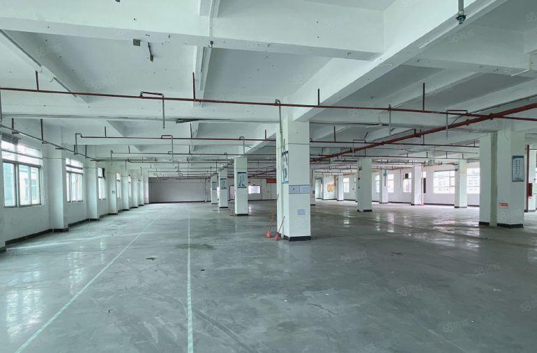 虎门原房东厂房出租 行车 独院 仓库出租 空地大 卸货平台