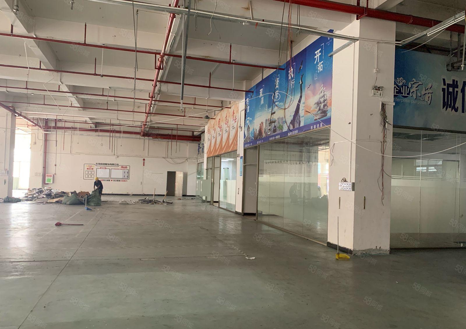 虎门龙眼新出一楼1450平6米高非常适合注塑行业 配电大