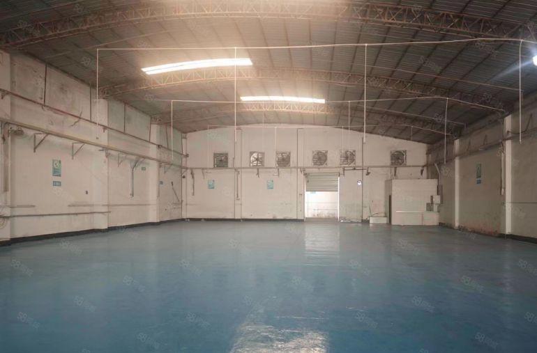 虎门新出钢构独院，水电齐全带精装修办公室