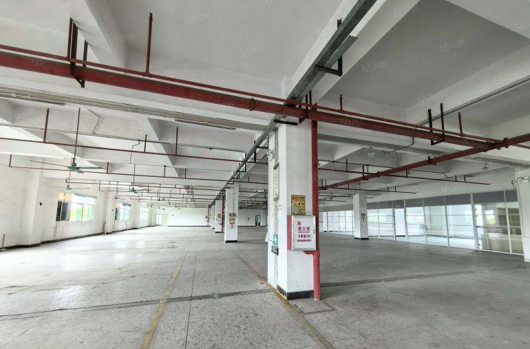 虎门厂房仓库出租   形象好空地大1400平米起租