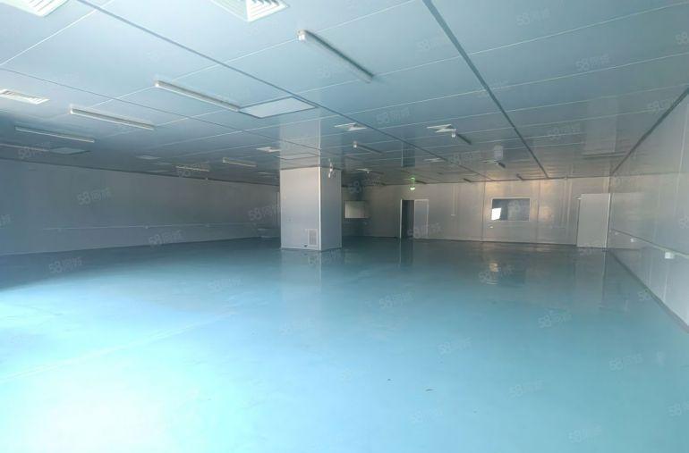 靠近长安环莞快速高速路口园区现成精装修无尘车间现成办公室厂房