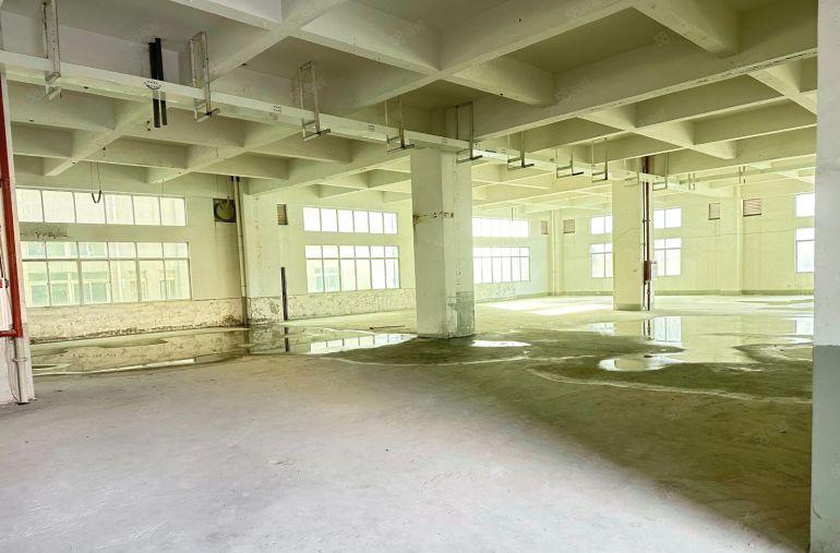 虎门沙角路东靠近长安独门独院厂房，空地大，好停车，易招工