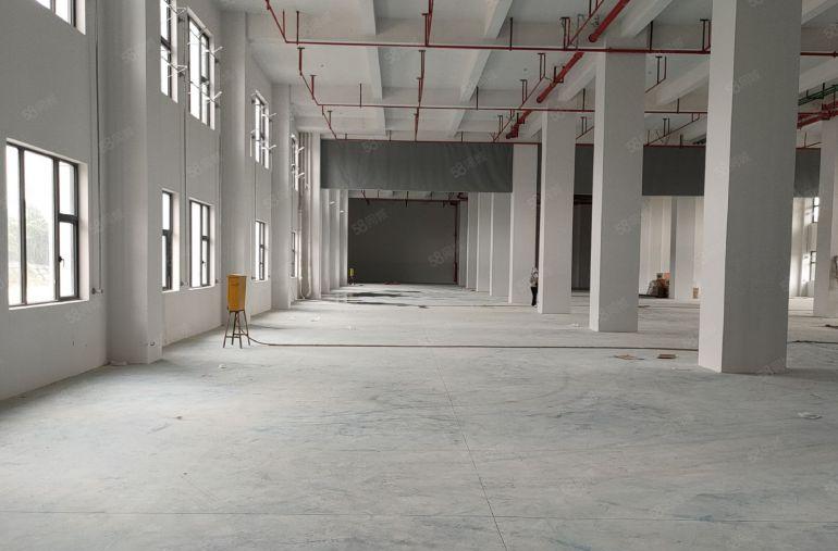 虎门镇龙眼原房东自建全新红本厂房一楼2800方到顶8米