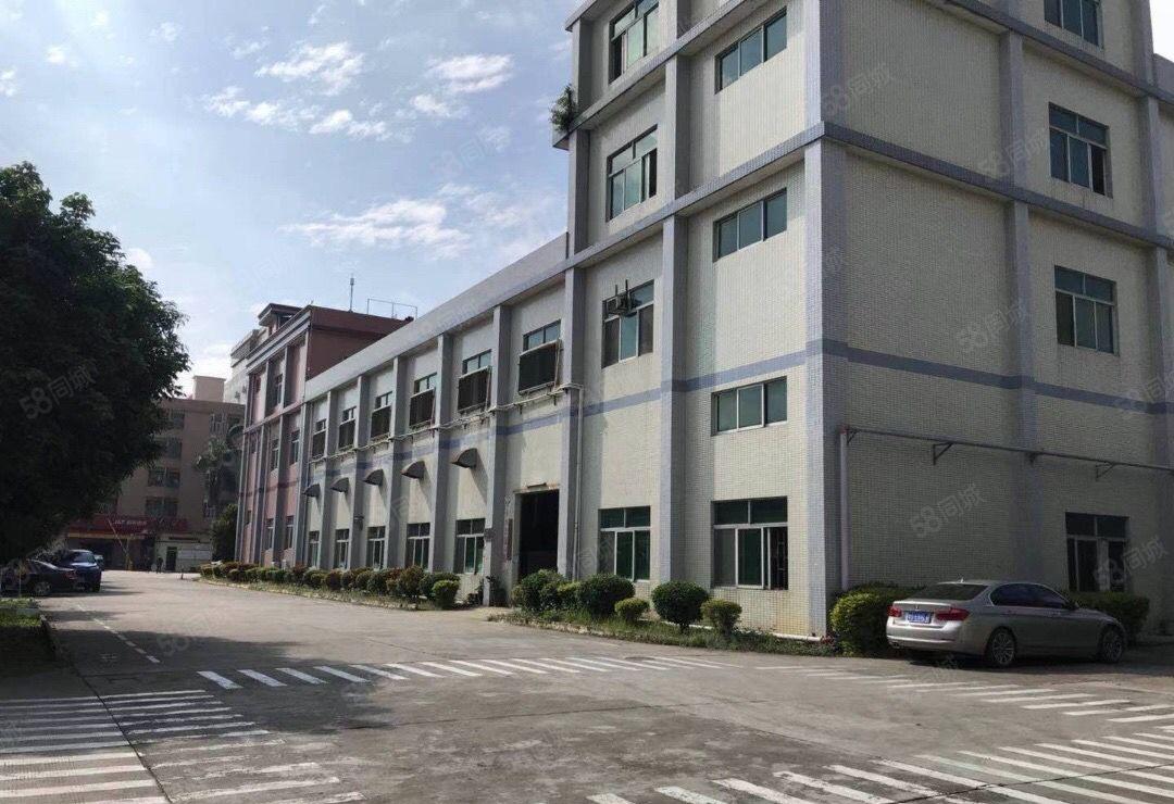 虎门新出独院厂房，形象好空地大 可分租 适合各行业
