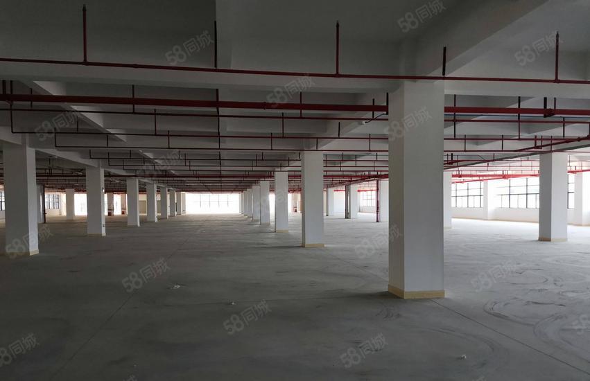 虎门东风社区厂房出租，房东直租，每层650平方