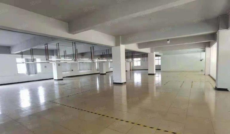 小独院！北栅原房东4300平豪华装修独院厂房出租啦！