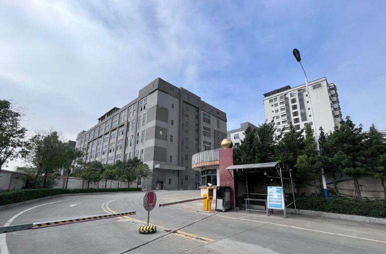 9.9元，免租三个月！虎门沿江高速低价厂房出租，1000平起