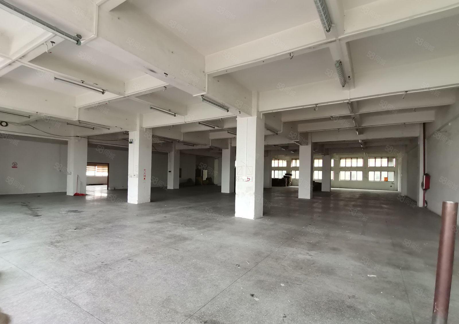 虎门龙眼楼上带装修1800平  园区空地大 可办环评