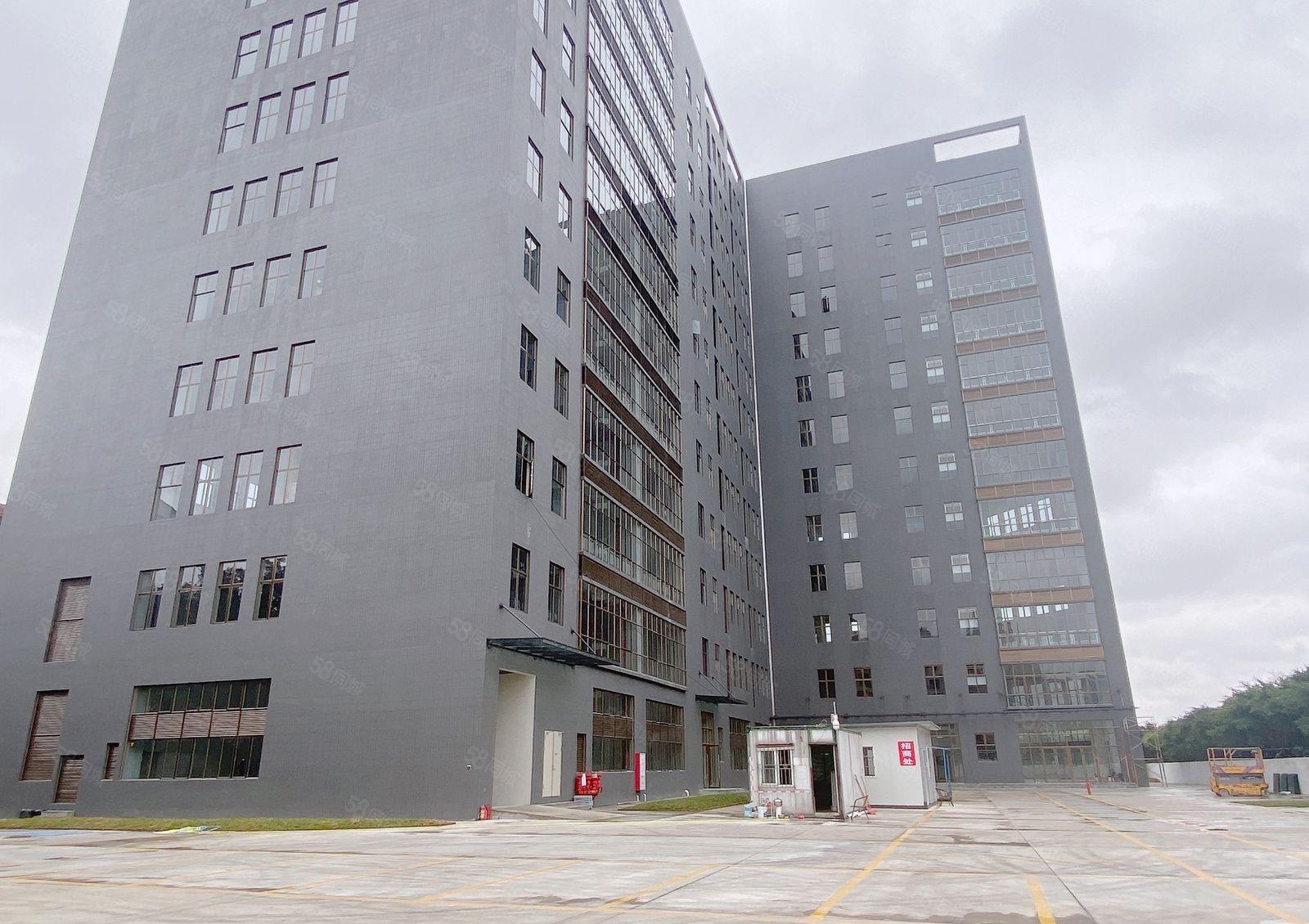 虎门新出原房东独门独院全新重工业厂房滴水10米空地大