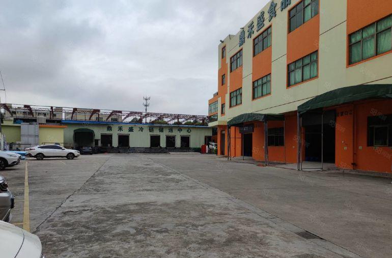 虎门新联业主独院厂房出租6000平米可分租价格便宜近高速口好