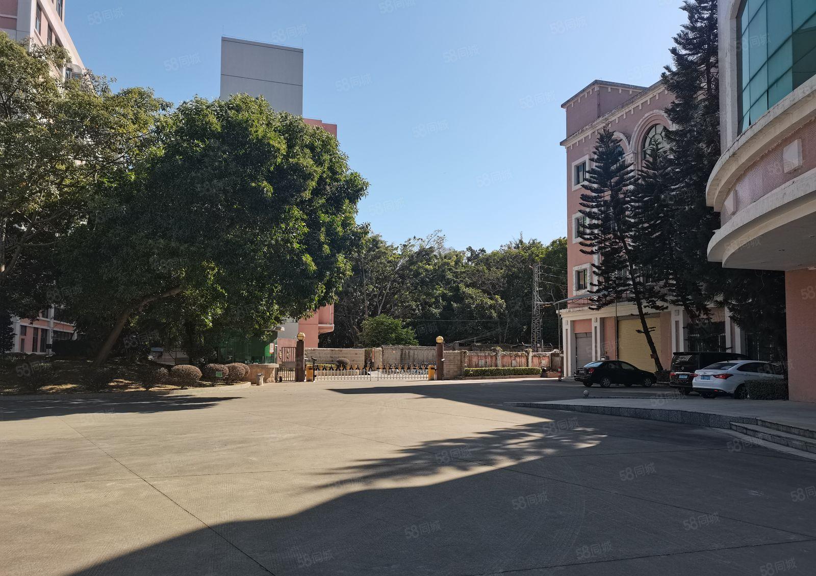 虎门镇树田社区原房东独院花园厂房二楼1000平分租 可办环坪