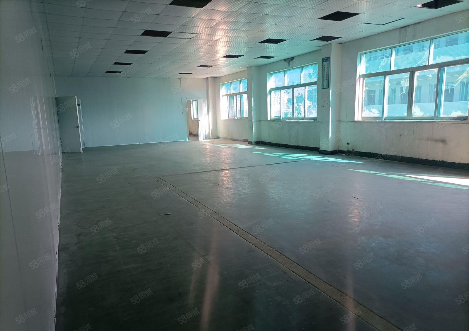 虎门，怀德独院厂房出租，面积8400平方