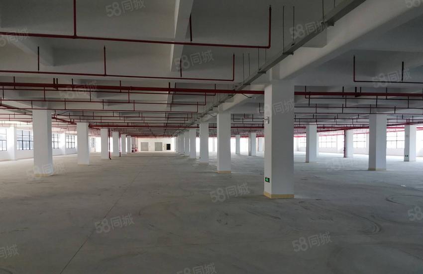 虎门东风社区厂房出租，房东直租，每层650平方