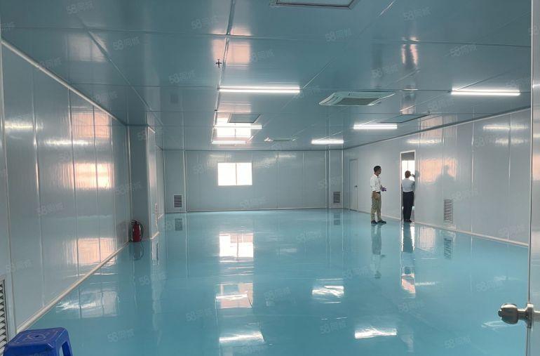 虎门原房东独栋现成无尘车间1350平厂房出租 精装修实际面积