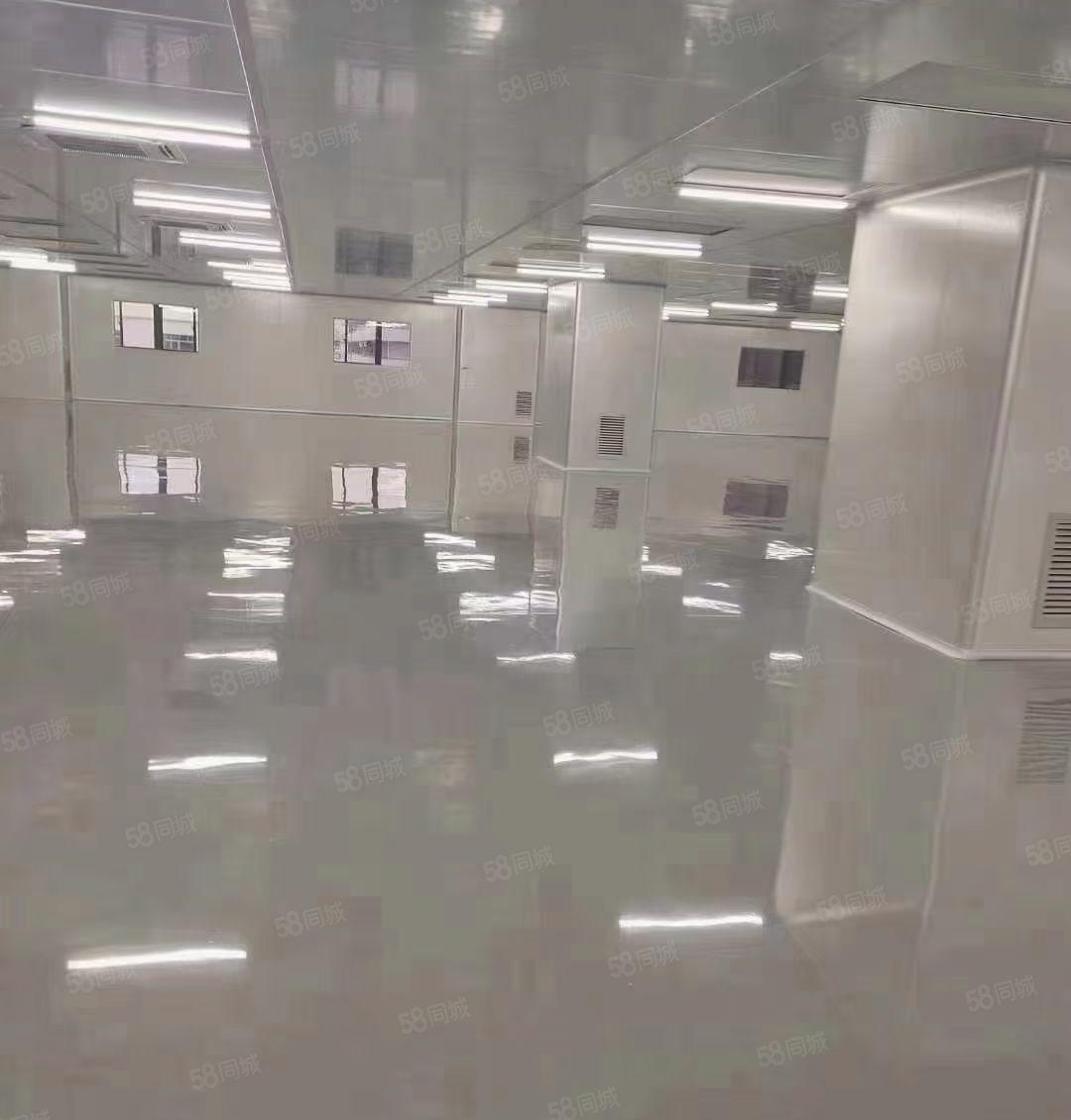 虎门镇北栅原房东三楼整层无尘车间4500平方厂房出租可以分租