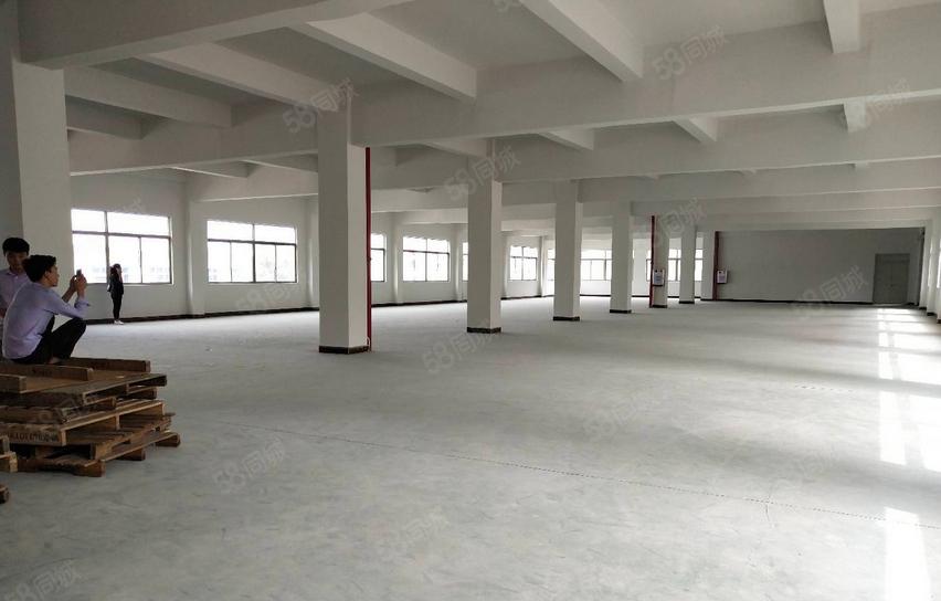 南栅四区附近厂房招租，2楼3楼600平方