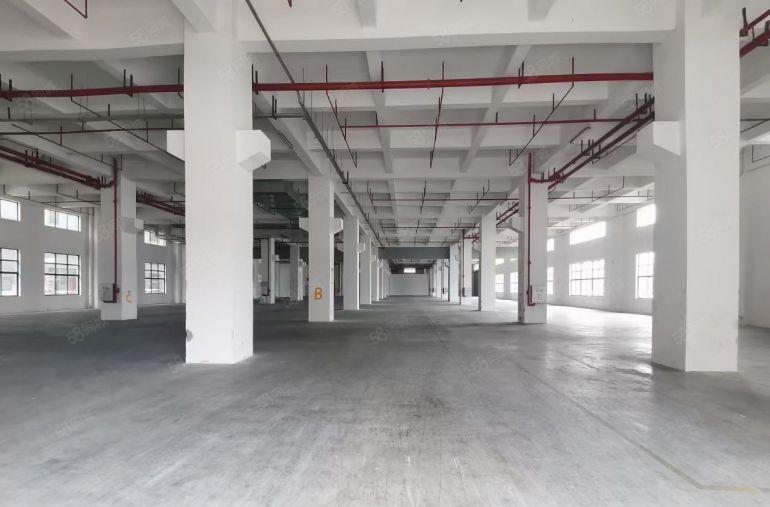 虎门8米高一楼带牛角，红本厂房，空地超大