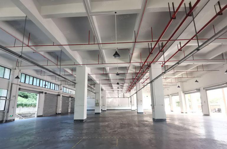 原房东独门独院厂房低价出租