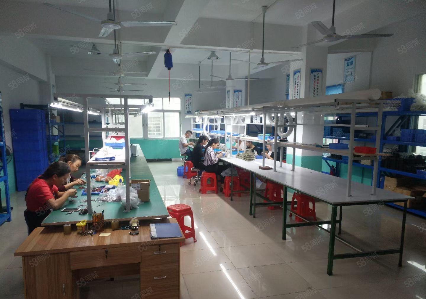 原房东！虎门北栅新空出原房东厂房400平方 现成装修和水电！