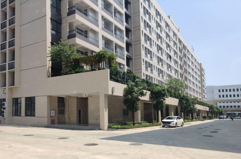 原房东8元无公摊甩租虎门沙田长安5千平可分一楼仓库厂房出租