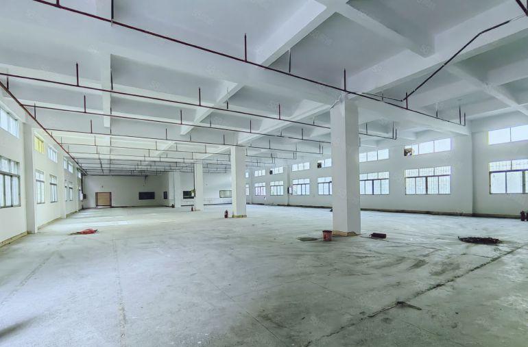 虎门沿江高速出口南部湾附近独院 适合注塑模具机械设备包材电子