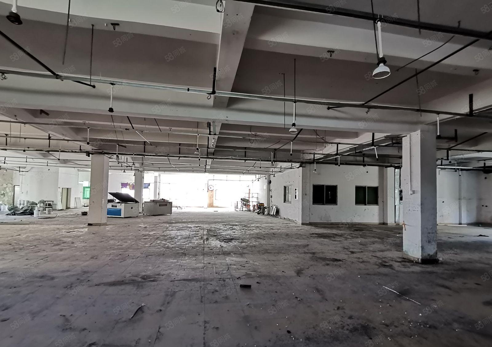 虎门南栅独院厂房4500平一层 靠近长安  面积大小可分