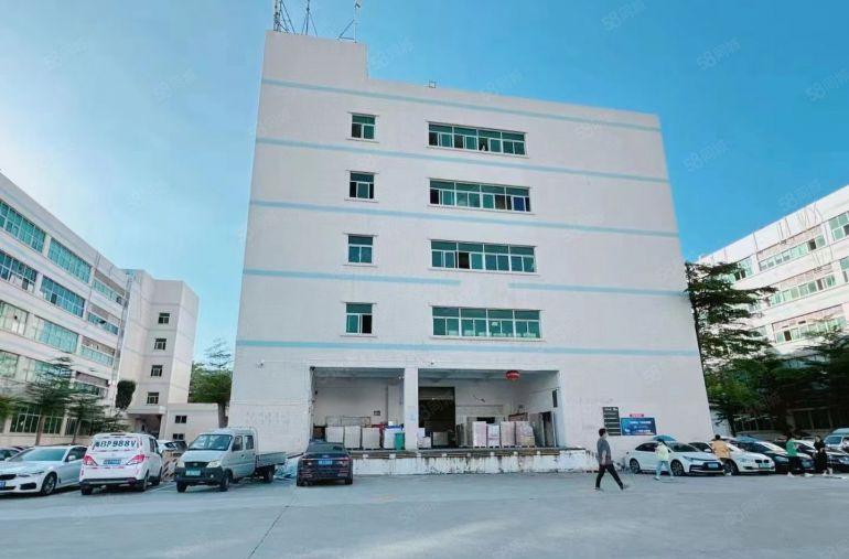 虎门镇赤岗社区楼上800平带红本，带消防喷淋低价厂房出租