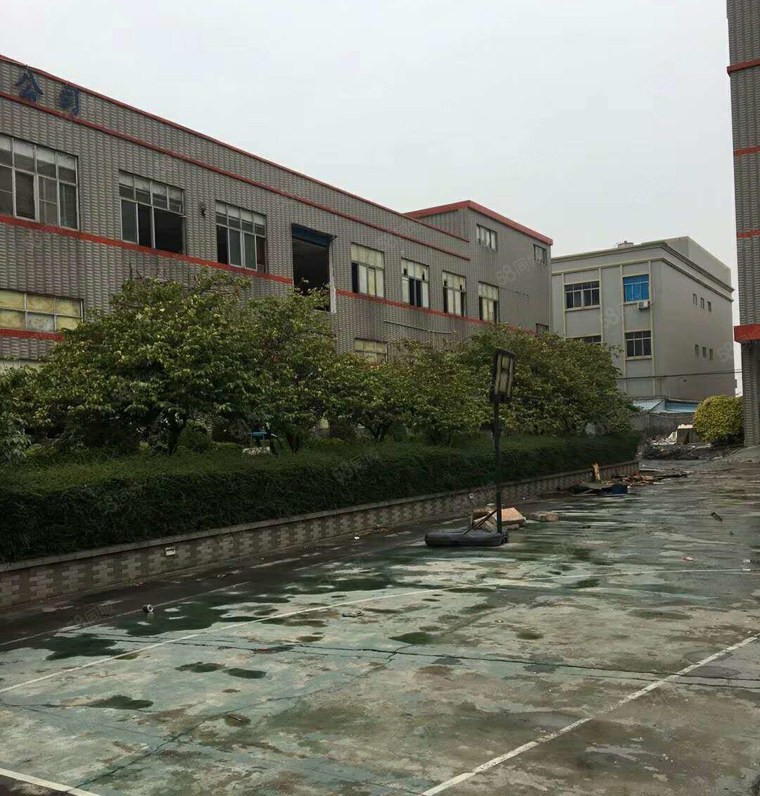 中介勿扰！低价无公摊！新联原房东4500平豪装独院厂房出租