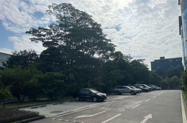 低价花园式厂房标准一楼滴水7米带有地坪漆无尘车间