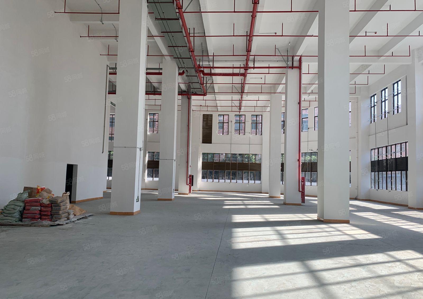 免租期3个月！虎门大宁新建厂房4万平方可分租！可办环评