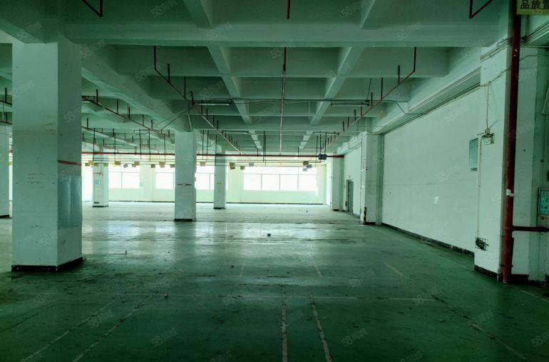 电商仓库，虎门镇三层独栋9600方仓库出租，丙二类消防喷淋