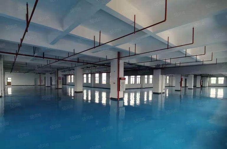 免租期2个月！面积每层550平方，350平方