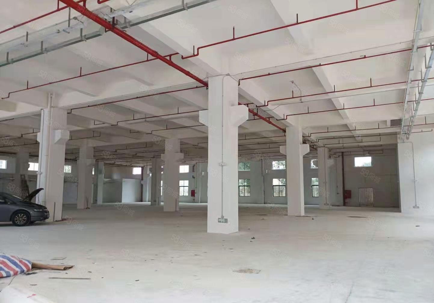 虎门新出原房东全新独院标准厂房证件齐全可分租