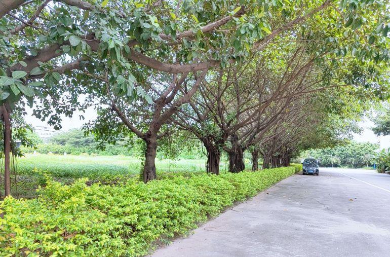 东莞虎门红本独院3万方，消防喷淋，5吨电梯，单价12.8元