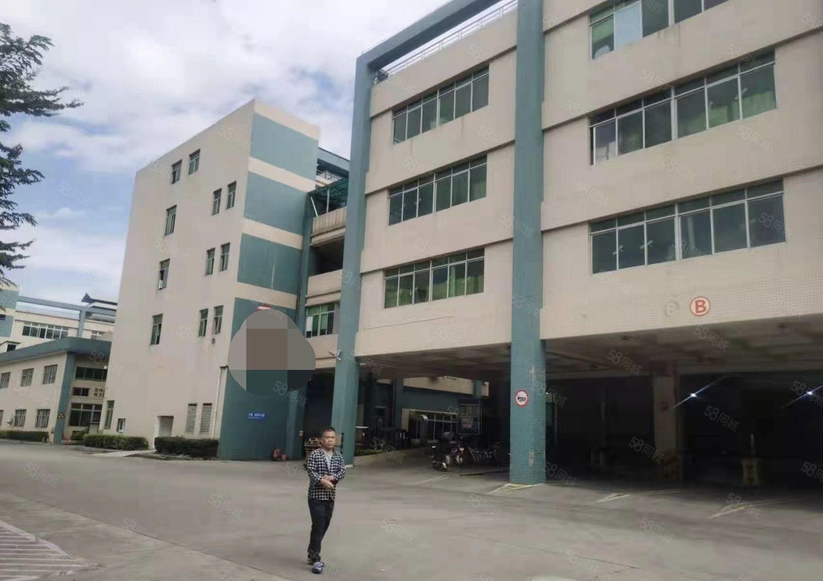 虎门镇赤岗原房东分租工业园16500平方厂房出租可以分租