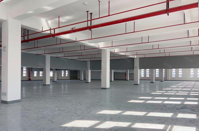 虎门怀德面积6600平方全新红本厂房出租5吨货梯电子仓库主线