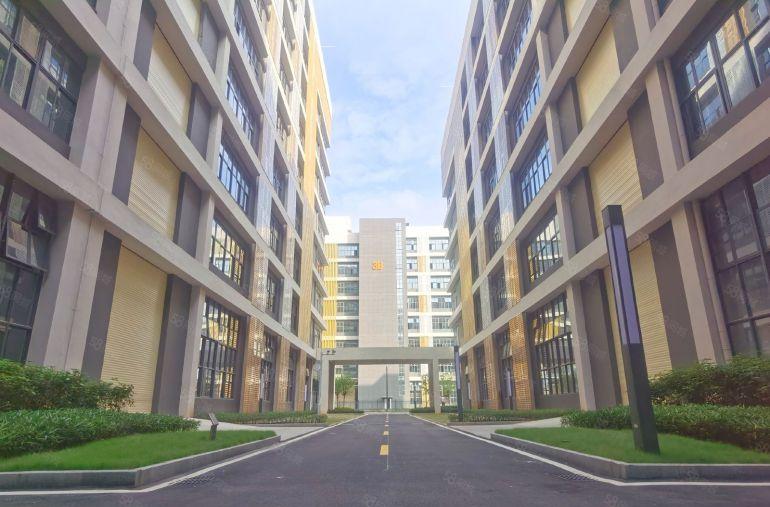 城区周边独栋厂房，可租可售，1.45万平，全新交付即买即投产