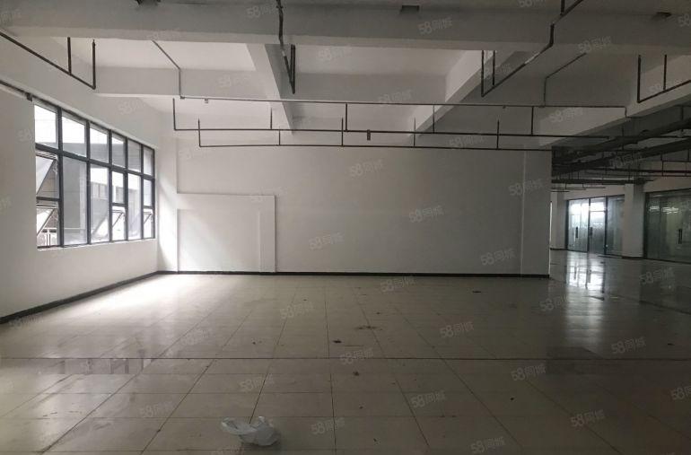 虎门万达厂房 临近布料市场带精装修 可服装电商仓库 3吨电梯