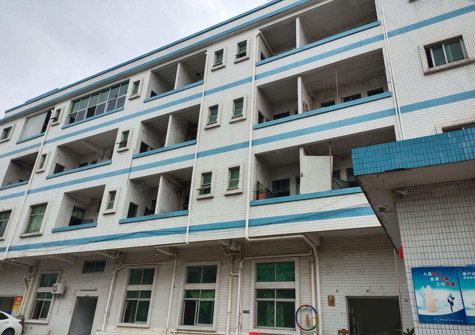 东莞周边原房东个人厂房直租一楼厂房独门独户