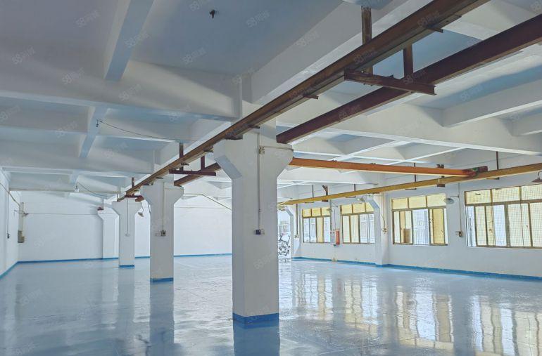 虎门镇树田靠长安一楼带航吊全新地坪漆，水电齐全，厂房可分租